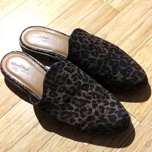 Leopard print slip-ons